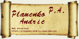 Plamenko Andrić vizit kartica